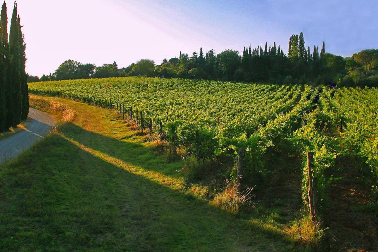 La Striscia Wine Resort Arezzo Ngoại thất bức ảnh
